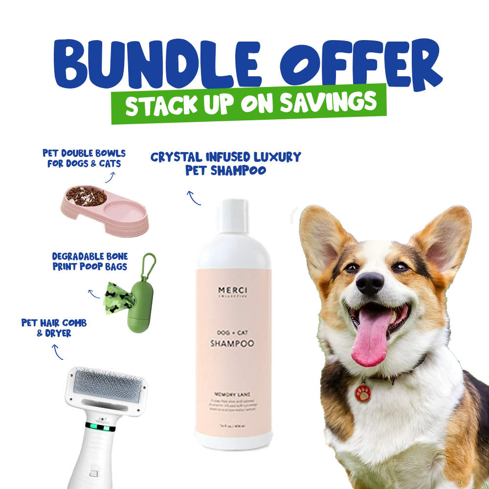 Pawfect Basic Bundle for Dogs