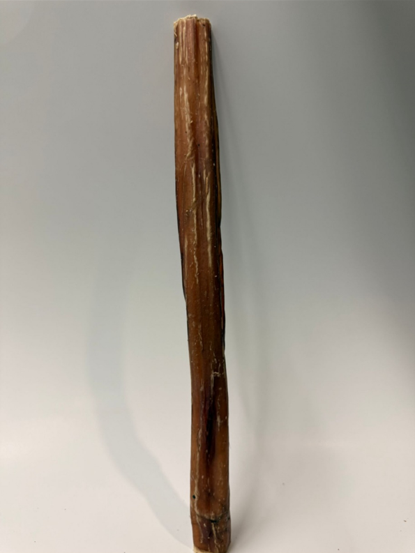 Thick Bully Sticks – Chunky Natural Beef Chews