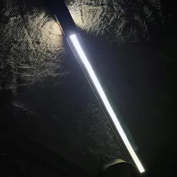 374906801
