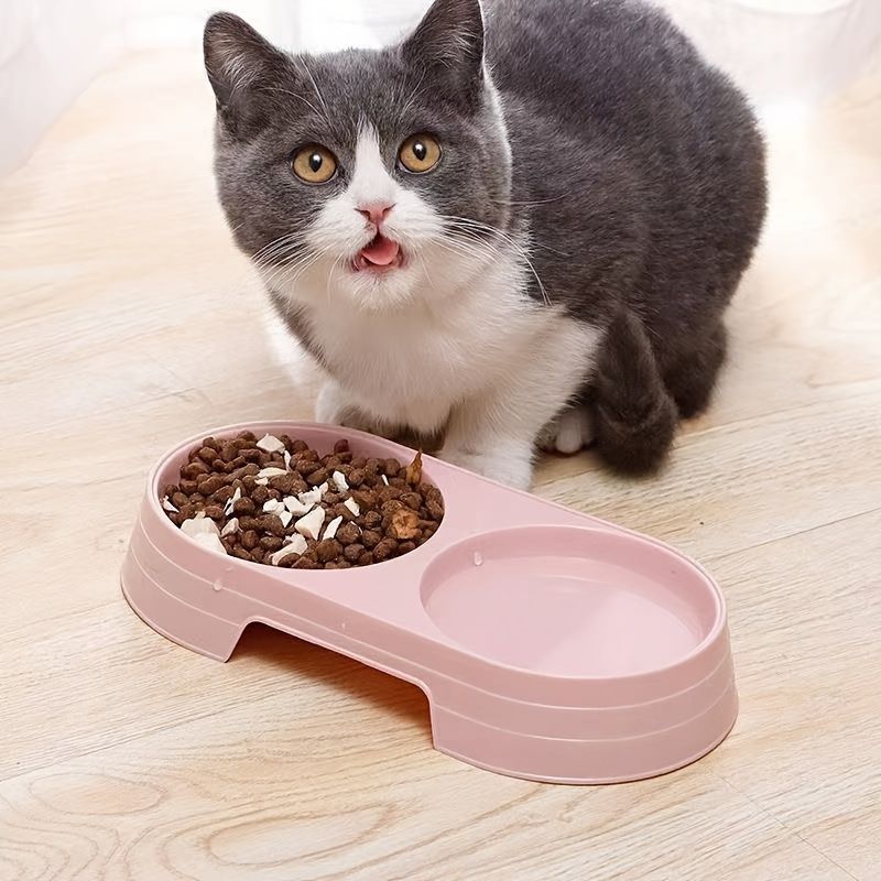 Welcome Home Kitty Kit