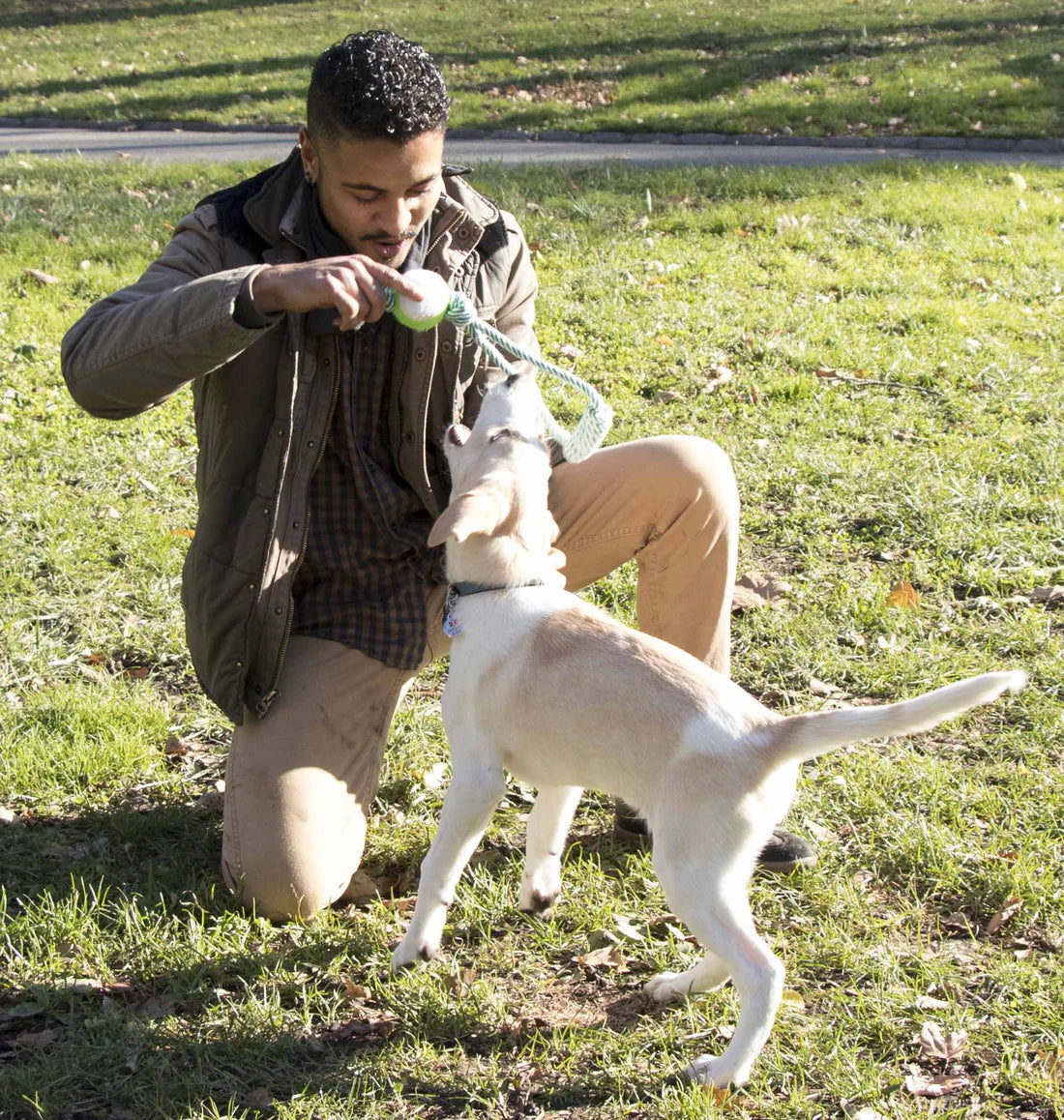 First-Time Dog Parent Pack