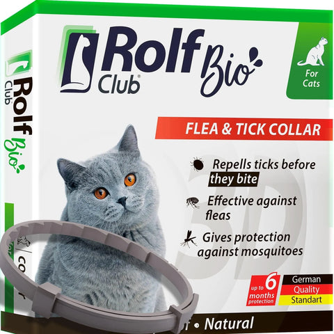 product featured image