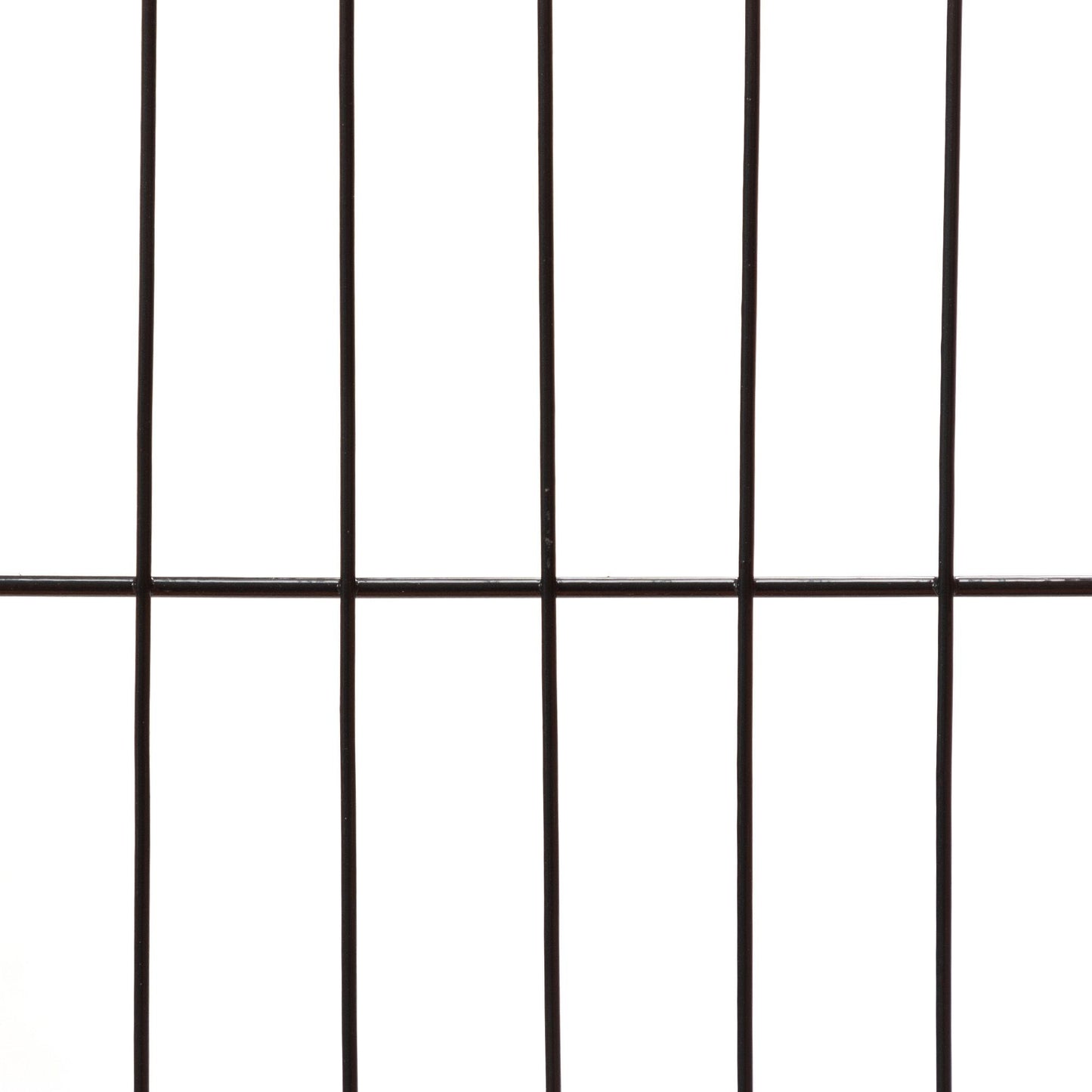423170221