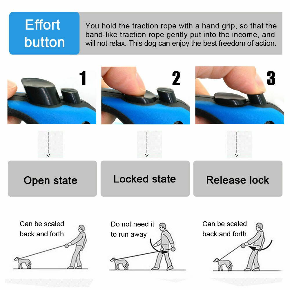374905911