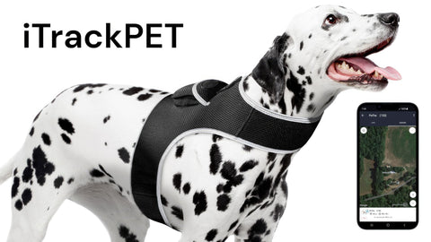 Product featured image