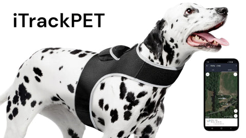 Product featured image