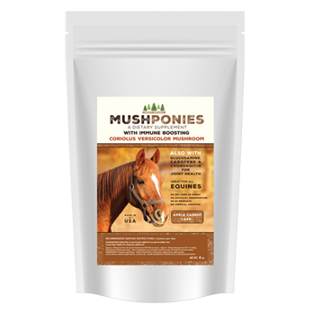 MushPonies Horse Cakes With Coriolus Versicolor Mushroom