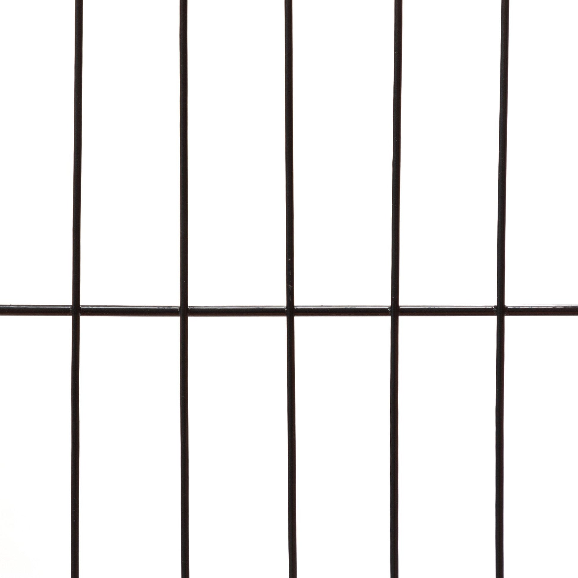 423170221