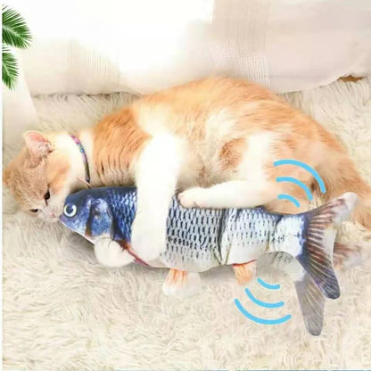 Welcome Home Kitty Kit